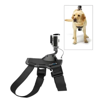 GoPro Fetch (Dog Harness)