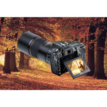 Nikon-D7600-Release